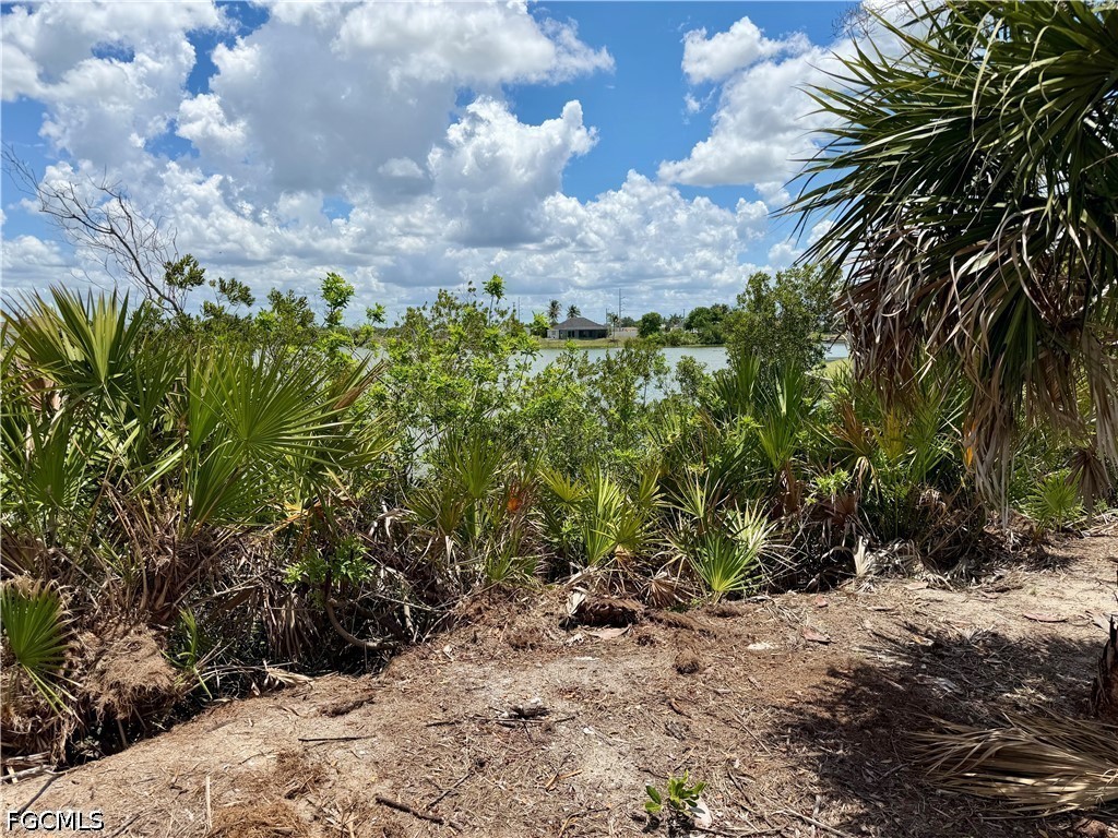 907 NW 19th Place Cape Coral FL 33993 2026022673 image4