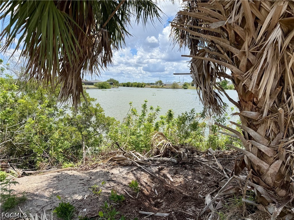 907 NW 19th Place Cape Coral FL 33993 2026022673 image6