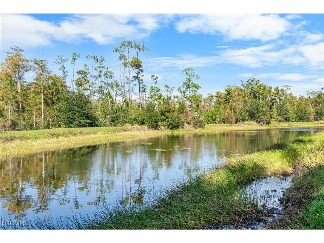9070 Water Tupelo Road Fort Myers FL 33912 2025016239 image48