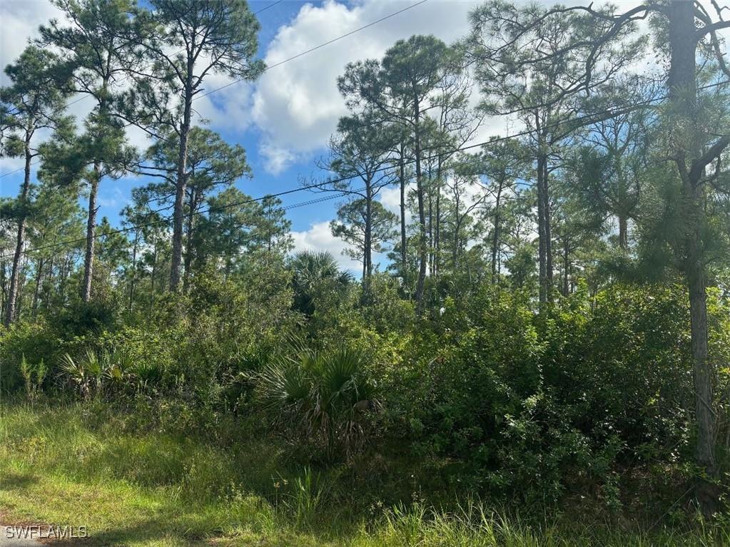 908 Acacia Avenue Lehigh Acres FL 33972 224075637 image1