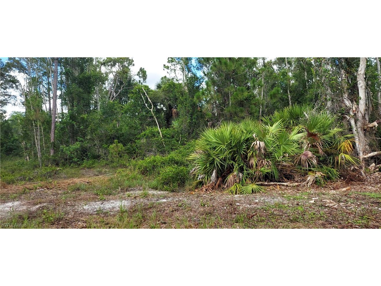 908 Anaconda Avenue S Lehigh Acres FL 33974 223050100 image1