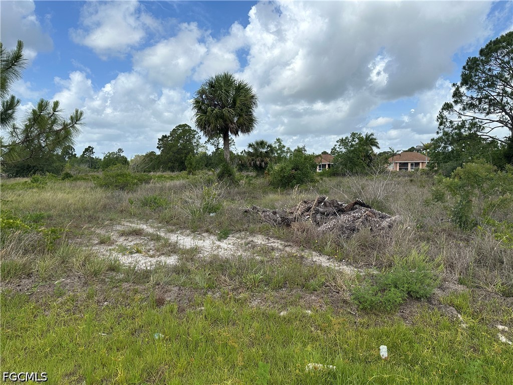 908 Panda Drive Lehigh Acres FL 33974 2026023433 image1