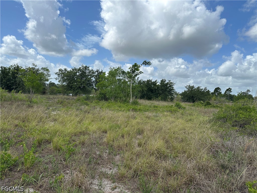 908 Panda Drive Lehigh Acres FL 33974 2026023433 image2