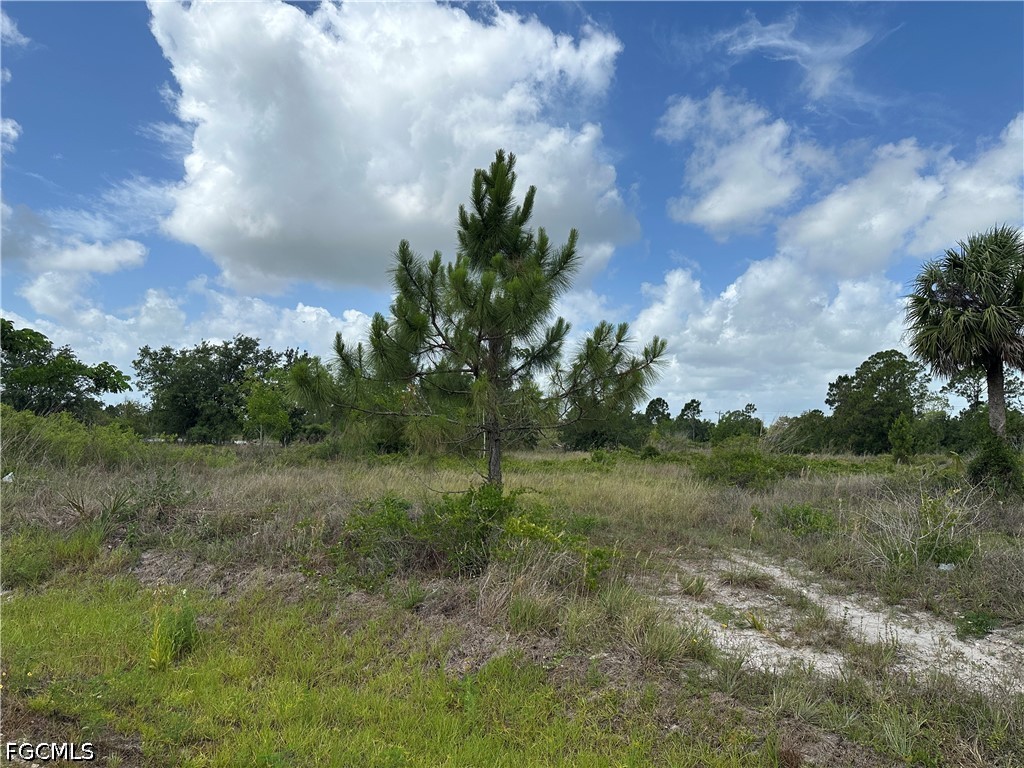 908 Panda Drive Lehigh Acres FL 33974 2026023433 image3