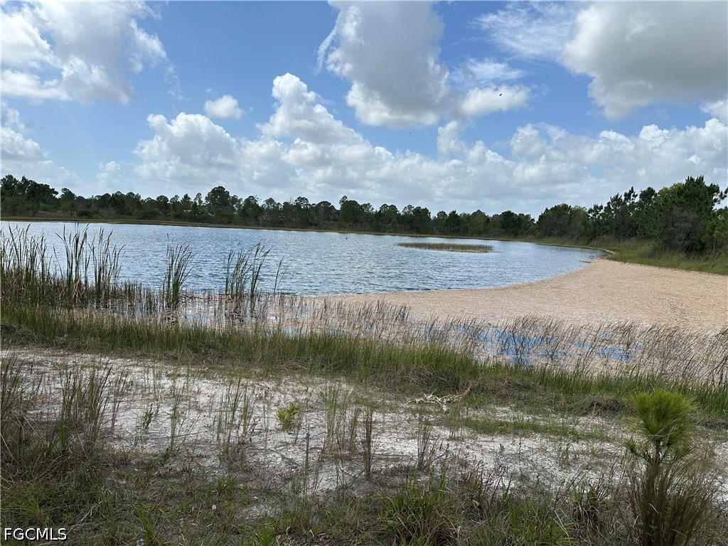 908 Panda Drive Lehigh Acres FL 33974 2026023433 image4