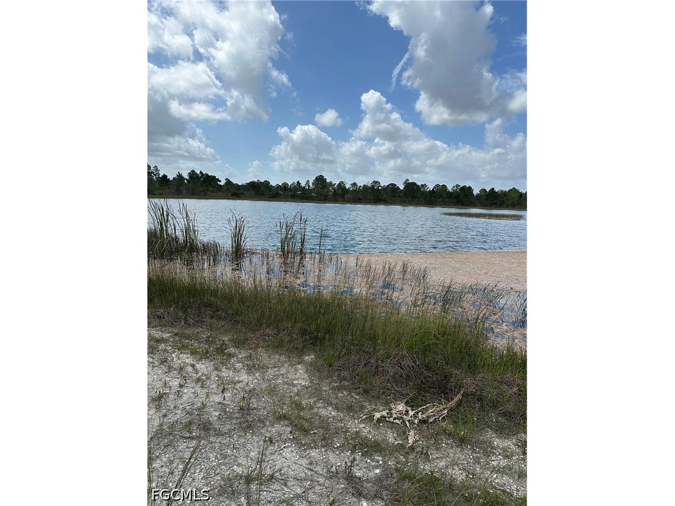 908 Panda Drive Lehigh Acres FL 33974 2026023433 image5
