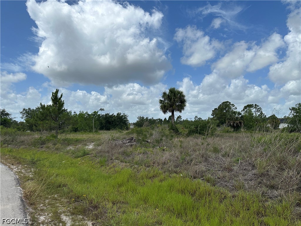 908 Panda Drive Lehigh Acres FL 33974 2026023433 image7