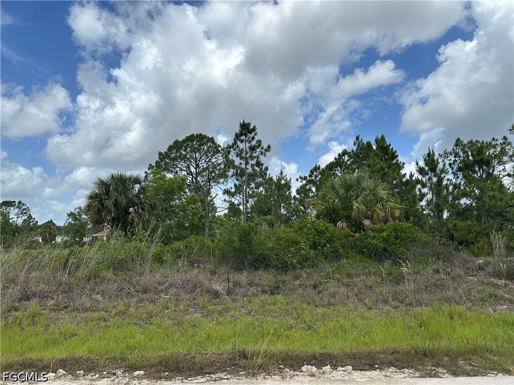 908 Panda Drive Lehigh Acres FL 33974 2026023433 image8