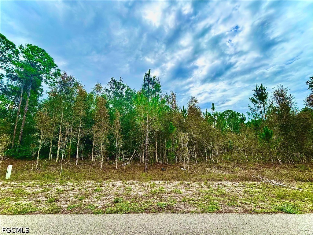 908 Robert Avenue Lehigh Acres FL 33936 2026024960 image1