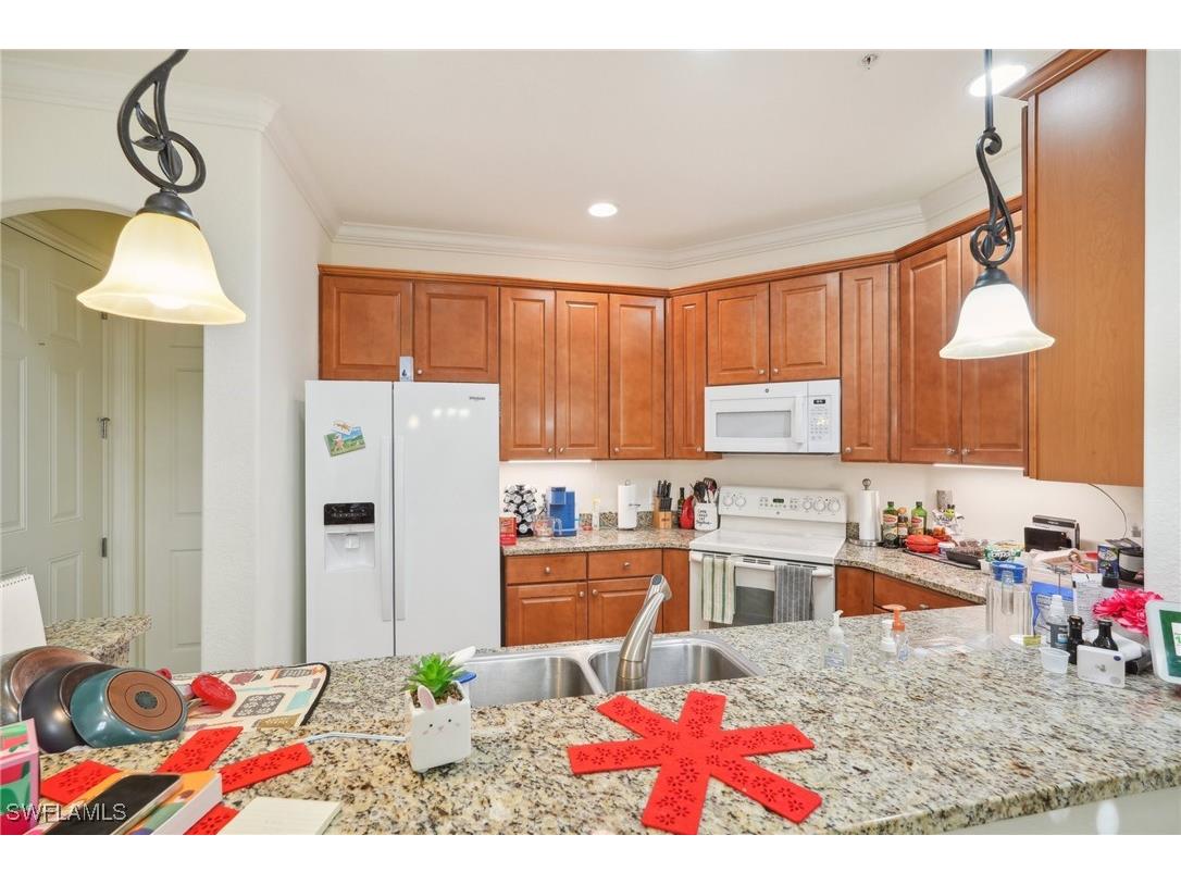 9081 Albion Lane S #6506 Naples FL 34113 225022139 image13