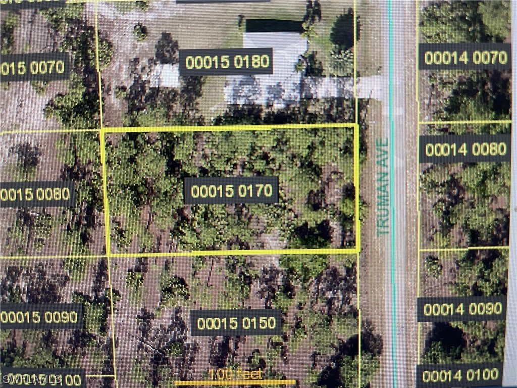 909 Truman Avenue Lehigh Acres FL 33972 222044224 image1