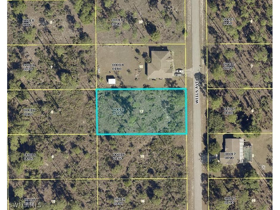 909 Wells Avenue Lehigh Acres FL 33972 222064549 image1