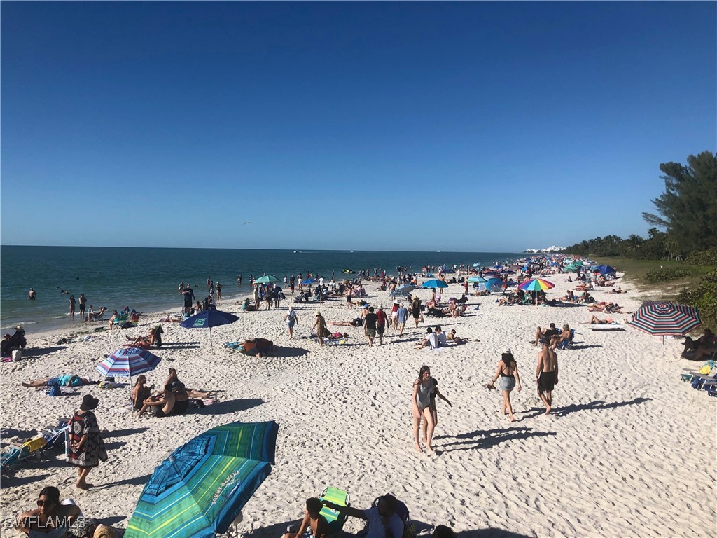 9092 Chula Vista Street #11003 Naples FL 34113 225081982 image41