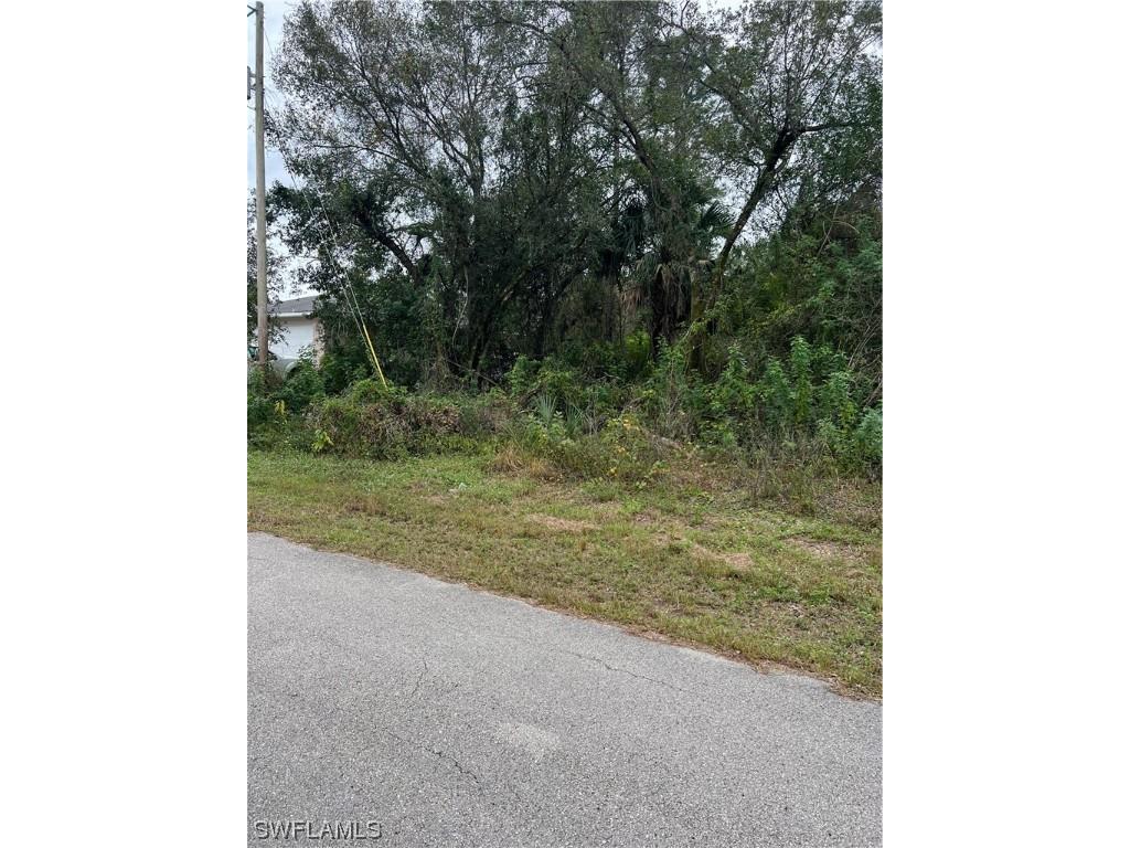 910 Avery Street Lehigh Acres FL 33974 224000627 image1