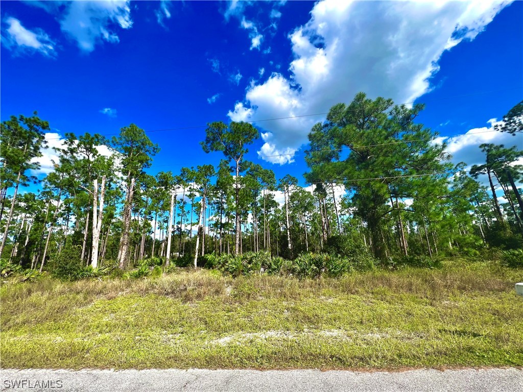 910 Wells Avenue Lehigh Acres FL 33972 223077699 image1