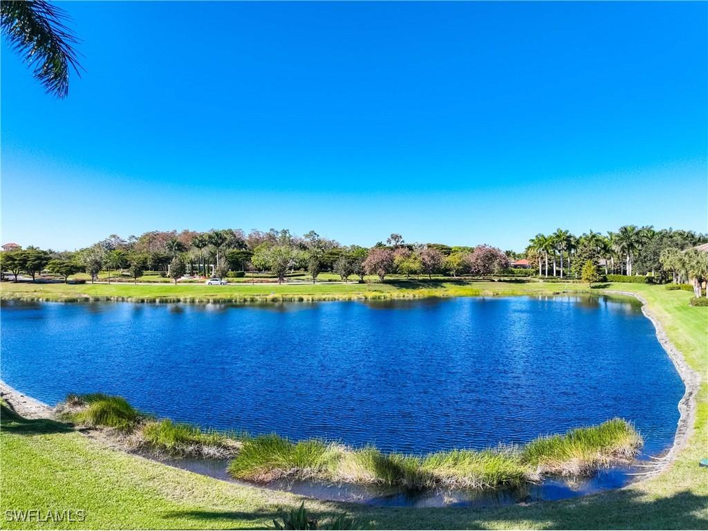9105 Prima Way #102 Naples FL 34113 225082776 image33