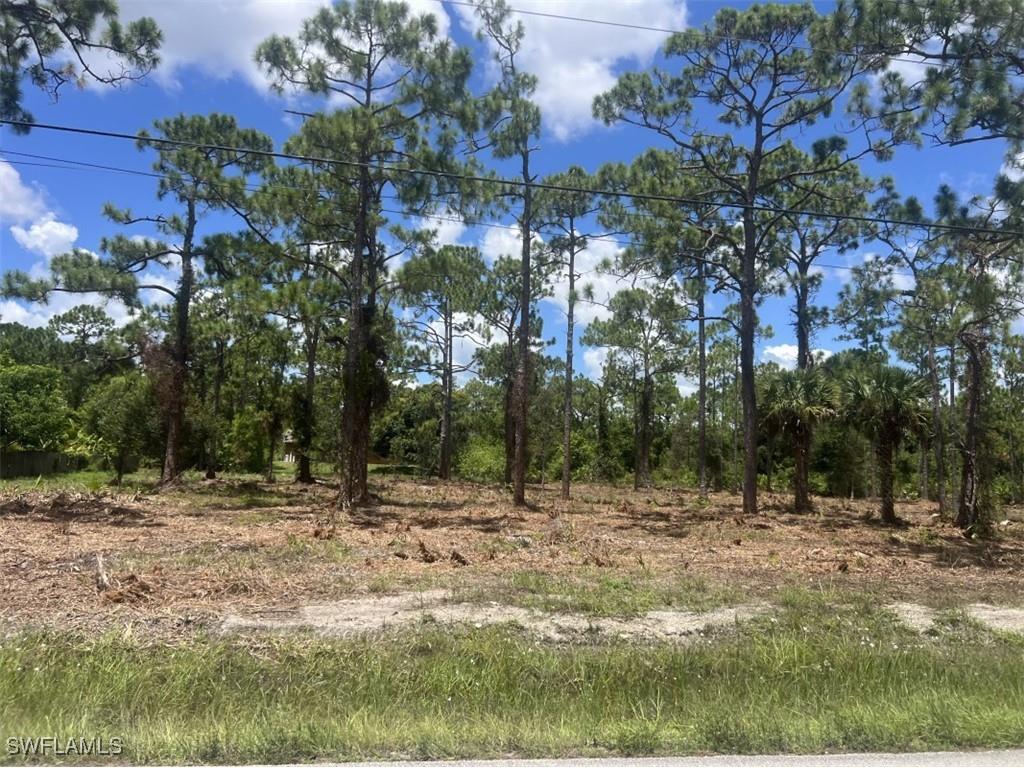 911-913 Williams Avenue Lehigh Acres FL 33972 224043503 image1