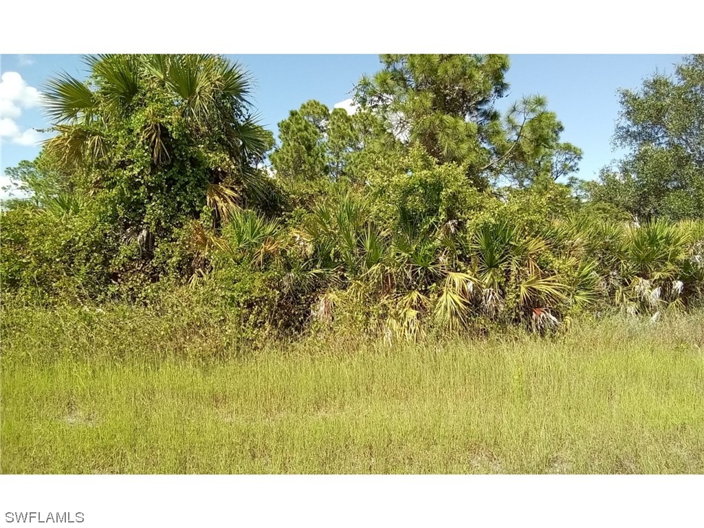 911 Anthony Street E Lehigh Acres FL 33974 223080592 image1