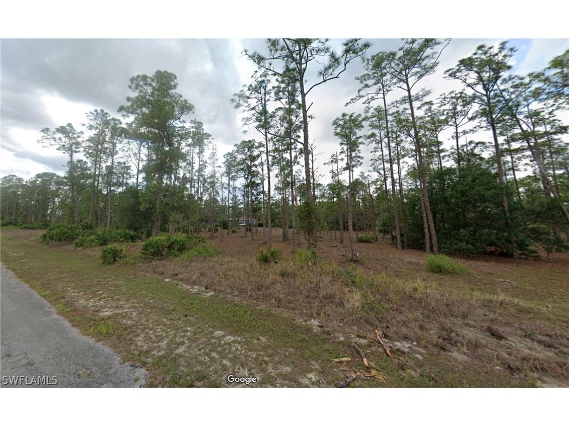 911 Johns Avenue Lehigh Acres FL 33972 223011984 image1