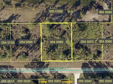 911 Moonbeam Street Lehigh Acres FL 33974 223017204 image1