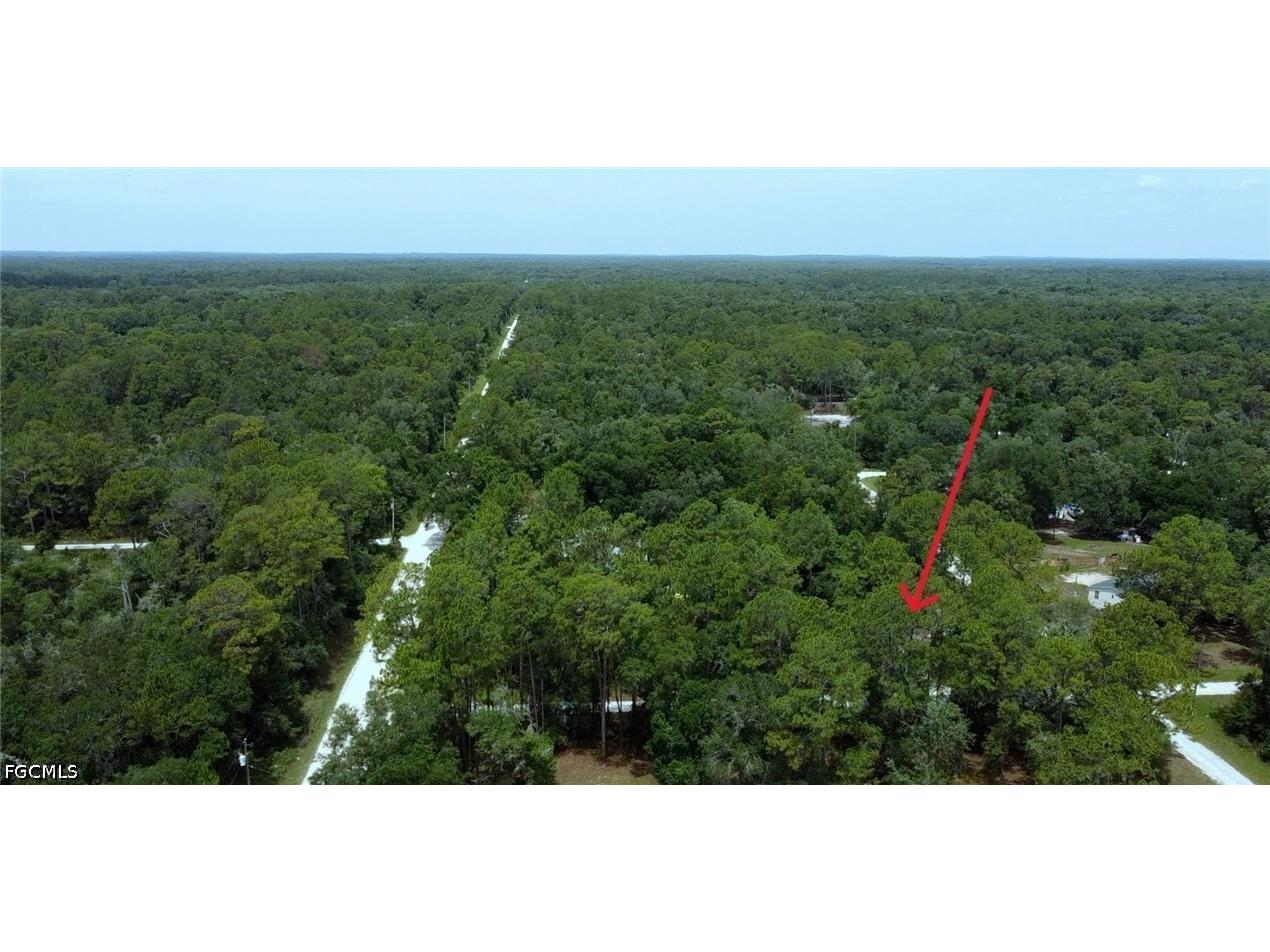 9113 Garetta Avenue Webster FL 33597 2026025126 image12