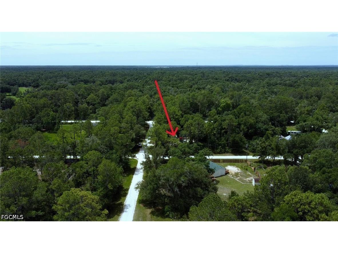 9113 Garetta Avenue Webster FL 33597 2026025126 image5