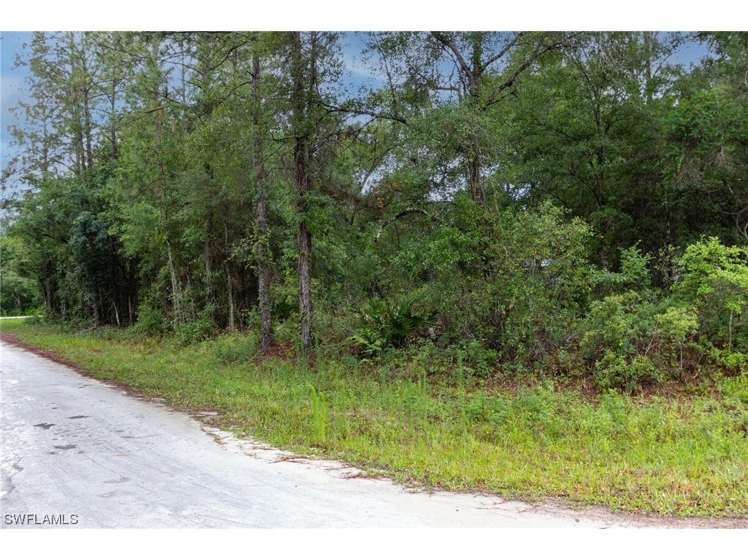 9113 Garetta Avenue Webster FL 33597 223041884 image1