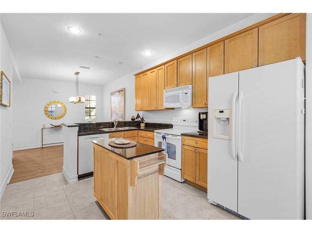 9118 Chula Vista Street #12002 Naples FL 34113 225077257 image13