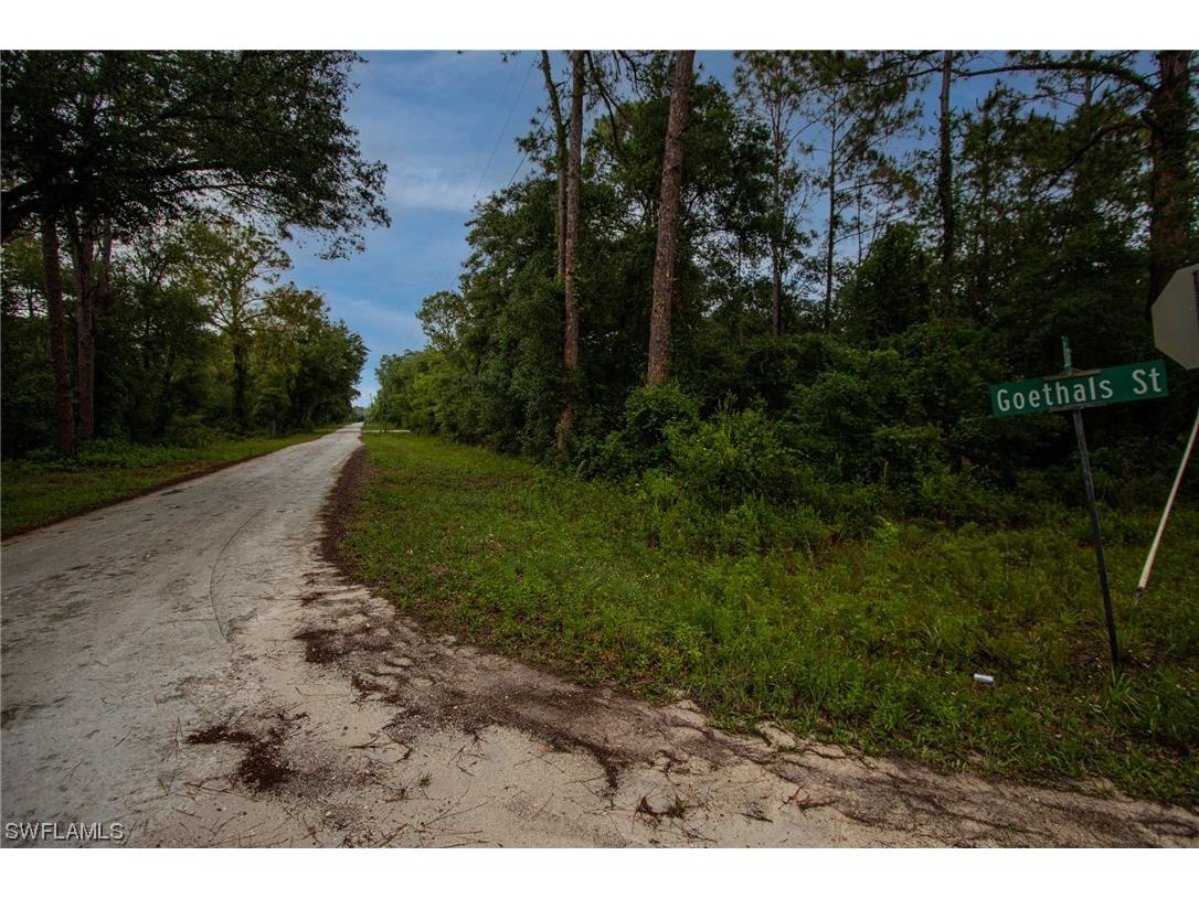 9120 Bigelow Avenue Webster FL 33597 223041886 image1