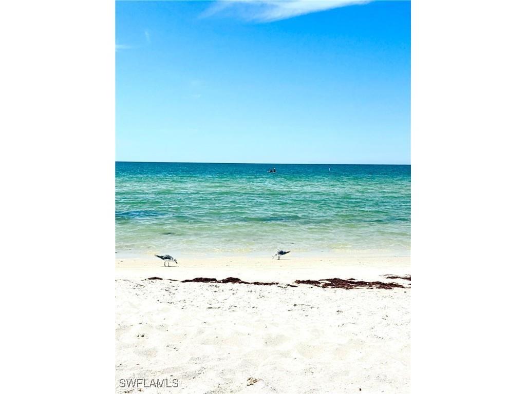 913 Carrick Bend Circle #202 Naples FL 34110 225079932 image39