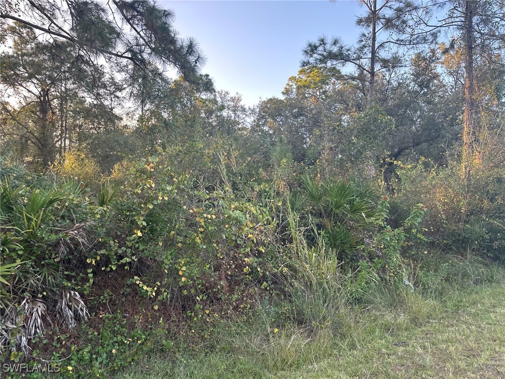 913 Edison Avenue Lehigh Acres FL 33972 224101761 image1