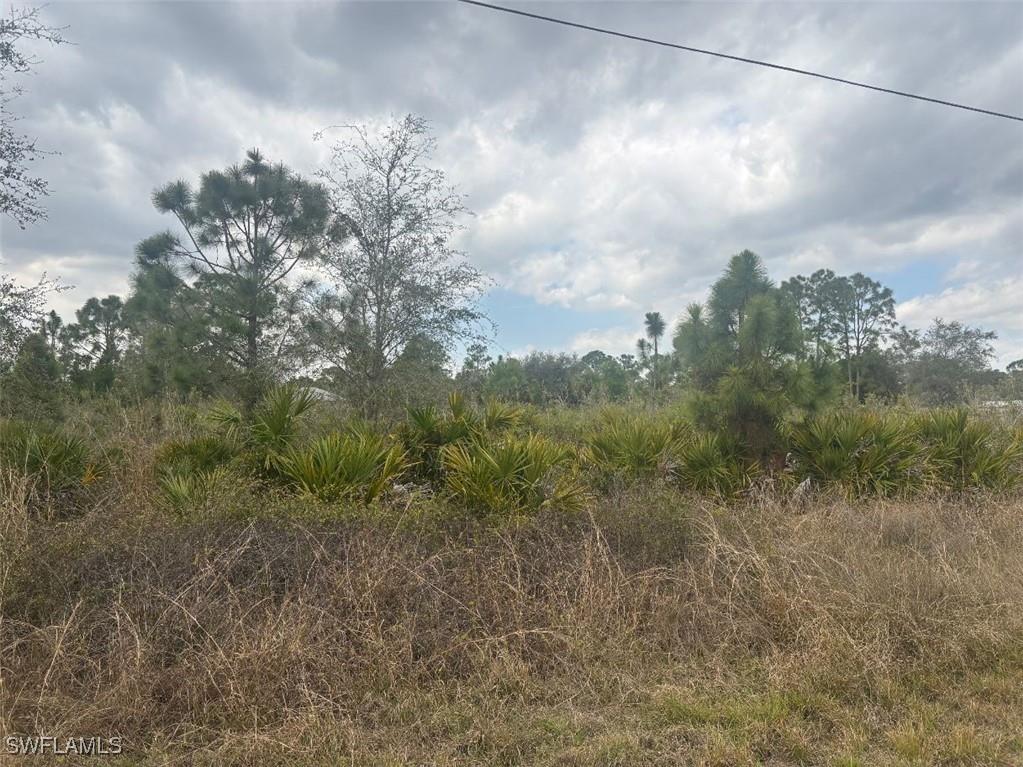 913 Maple Avenue N Lehigh Acres FL 33972 225020719 image1