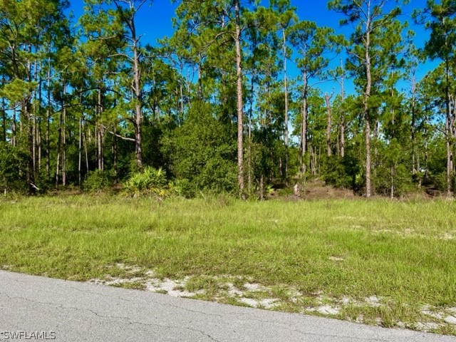 913 Moore Avenue Lehigh Acres FL 33972 222054692 image1