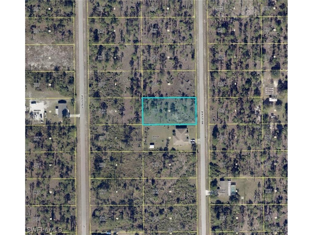 913 Wells Avenue Lehigh Acres FL 33972 223076572 image1