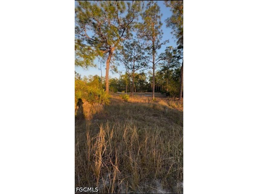 914 Grant Avenue Lehigh Acres FL 33972 2026019825 image4