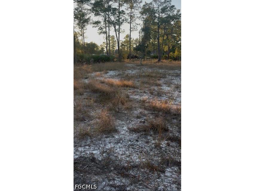 914 Grant Avenue Lehigh Acres FL 33972 2026019825 image5