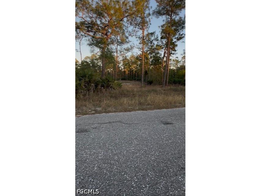 914 Grant Avenue Lehigh Acres FL 33972 2026019825 image7