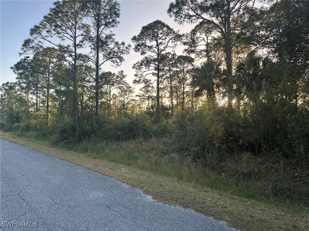 915 Edison Avenue Lehigh Acres FL 33972 224101763 image1