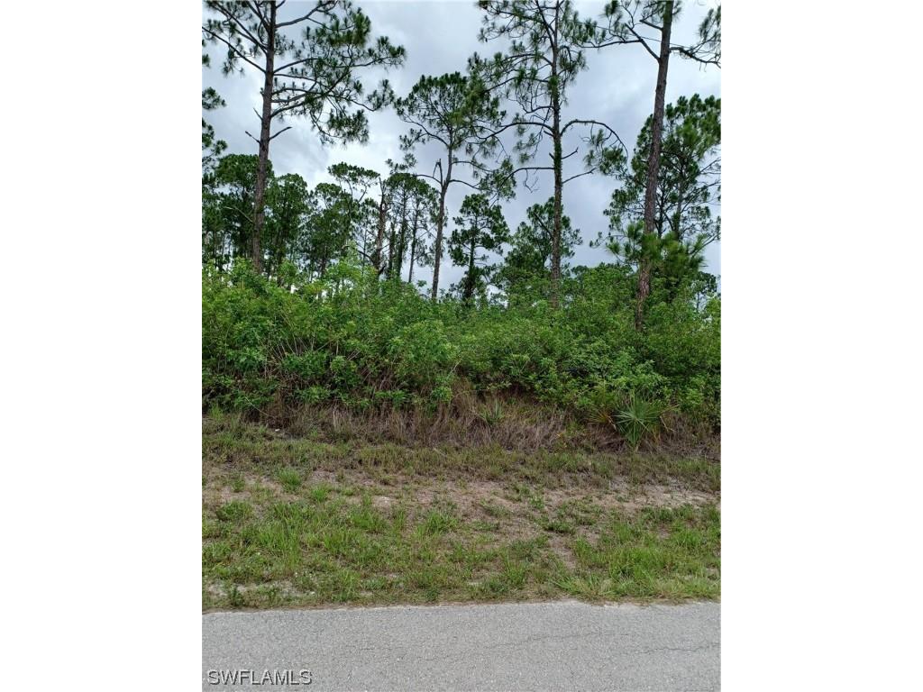 915 Hines Avenue Lehigh Acres FL 33972 223045912 image1