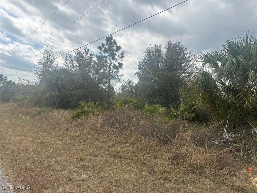 915 Maple Avenue N Lehigh Acres FL 33972 225020720 image1