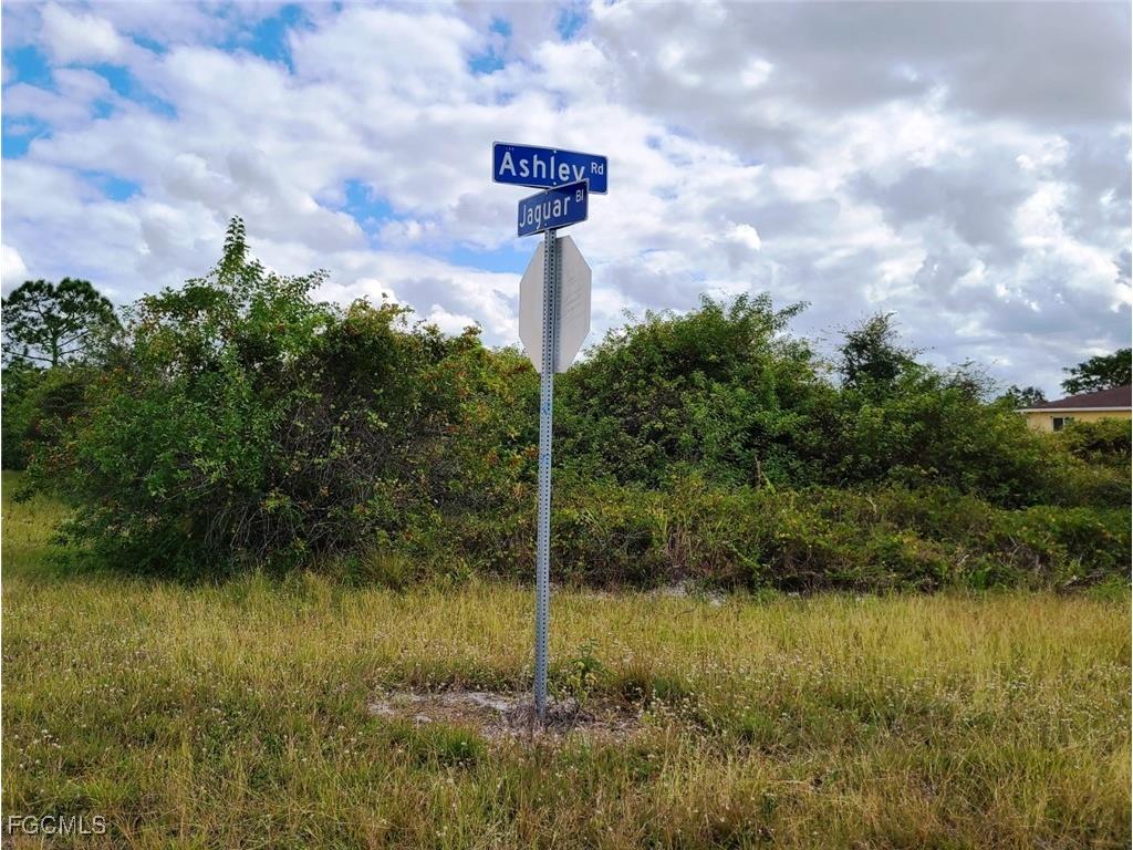 916 Ashley Oaks Drive Lehigh Acres FL 33974 2025022744 image13