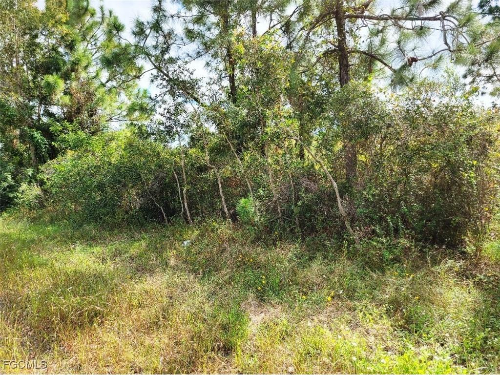 916 Ashley Oaks Drive Lehigh Acres FL 33974 2025022744 image4