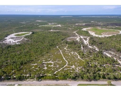 916 Durden Parkway Cape Coral FL 33909 222035787 image2