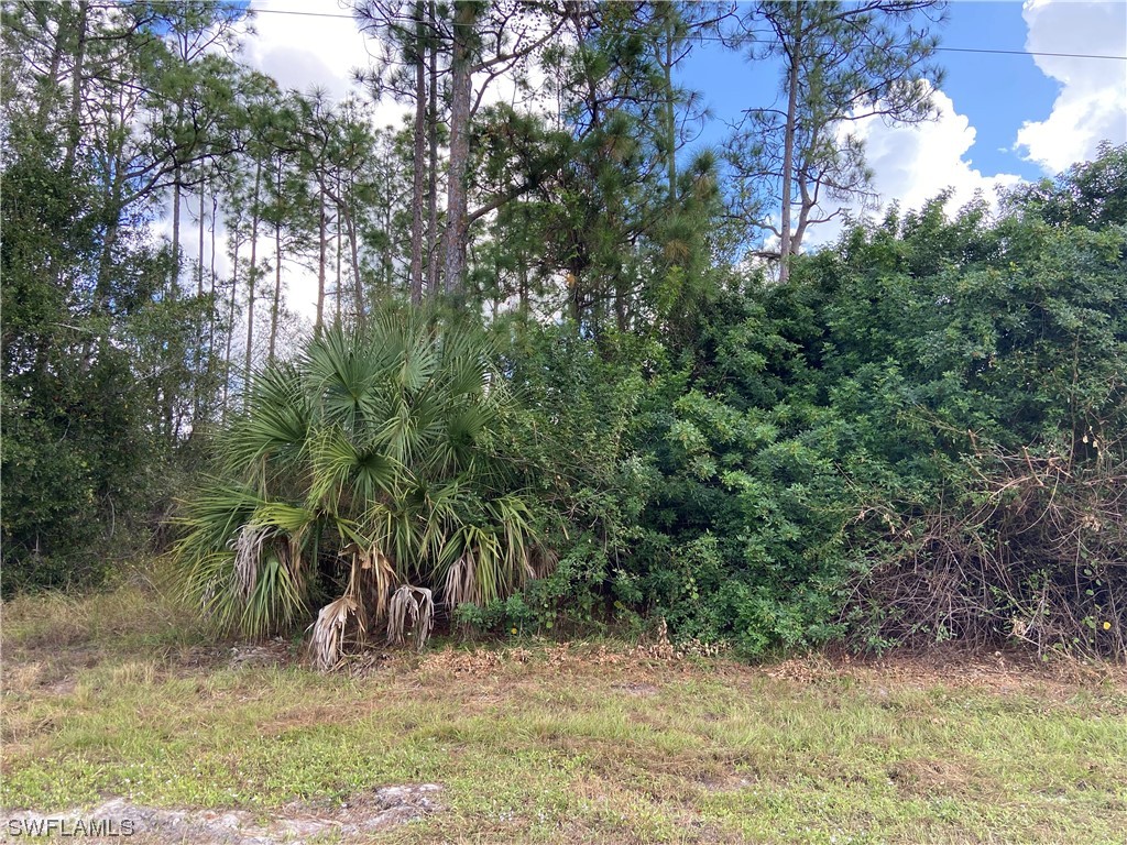 916 Johns Avenue Lehigh Acres FL 33972 223083854 image1