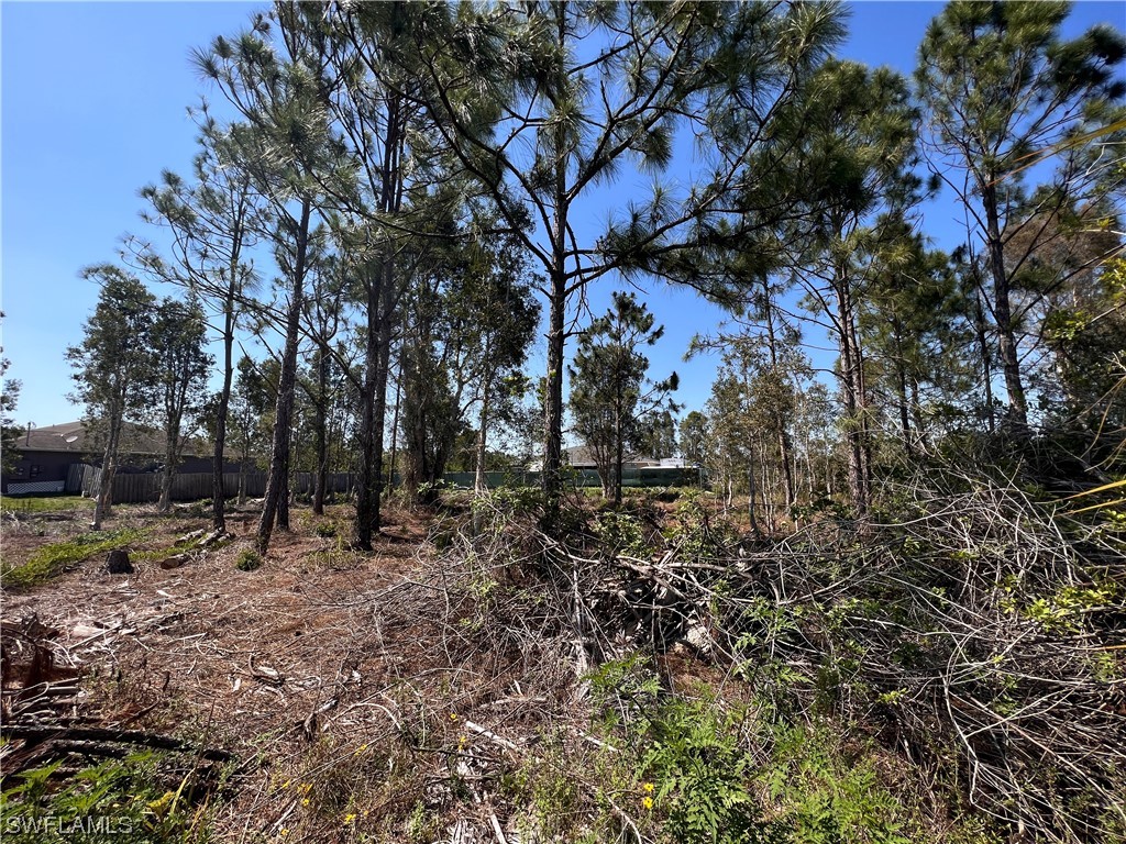 917-919 Jaguar Boulevard Lehigh Acres FL 33974 223033736 image1