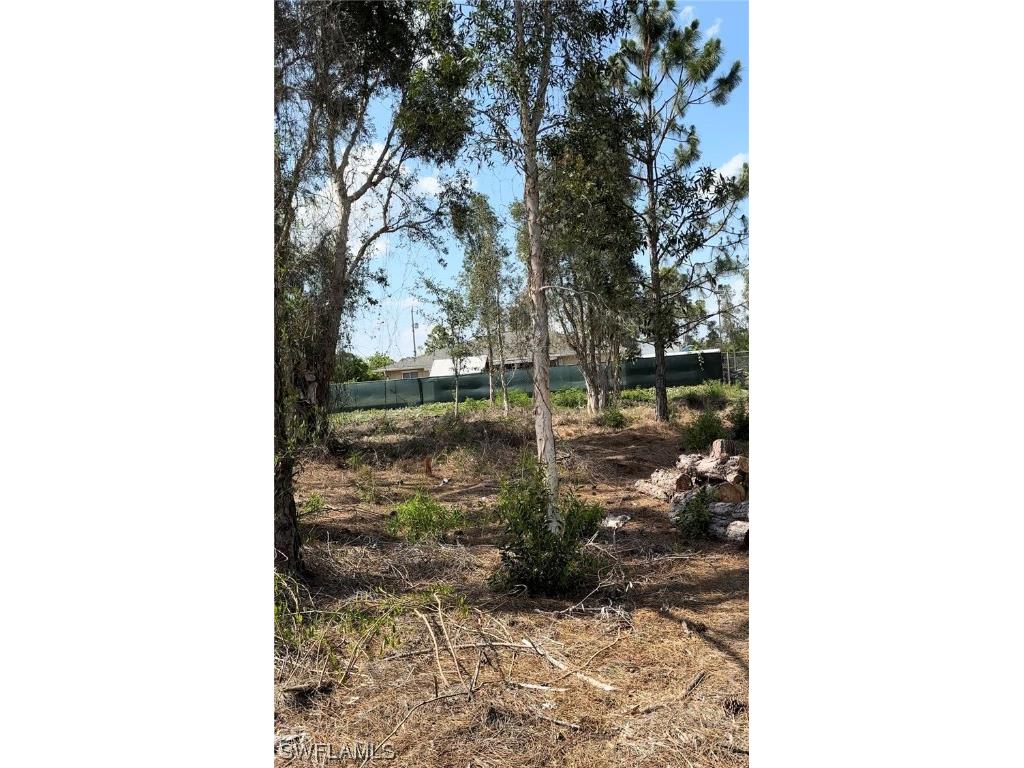917-919 Jaguar Boulevard Lehigh Acres FL 33974 223042023 image1