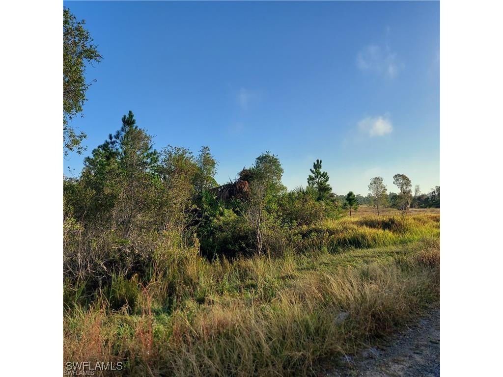 917 Clarissa Street Lehigh Acres FL 33974 225067245 image1