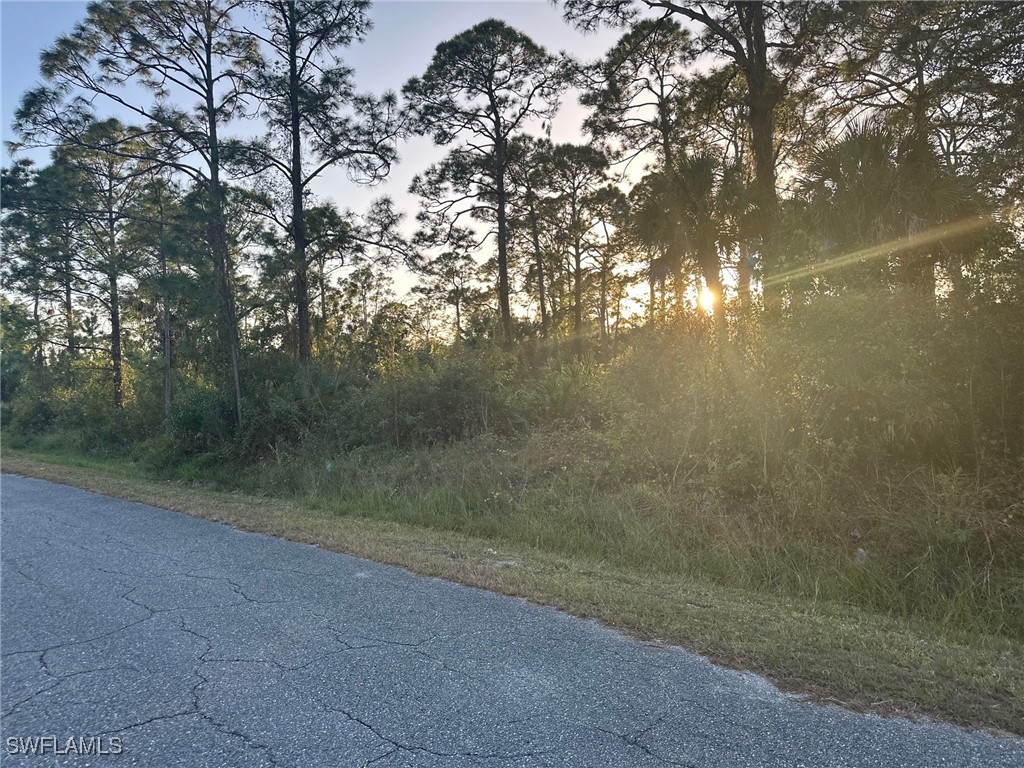 917 Edison Avenue Lehigh Acres FL 33972 224101764 image1