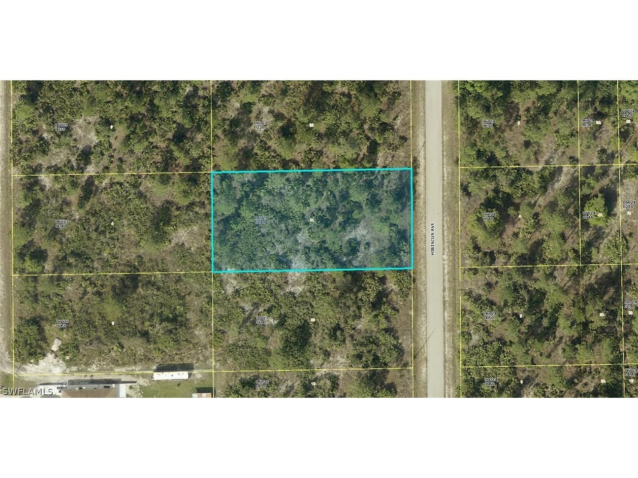 917 Hibiscus Avenue Lehigh Acres FL 33972 224061461 image1
