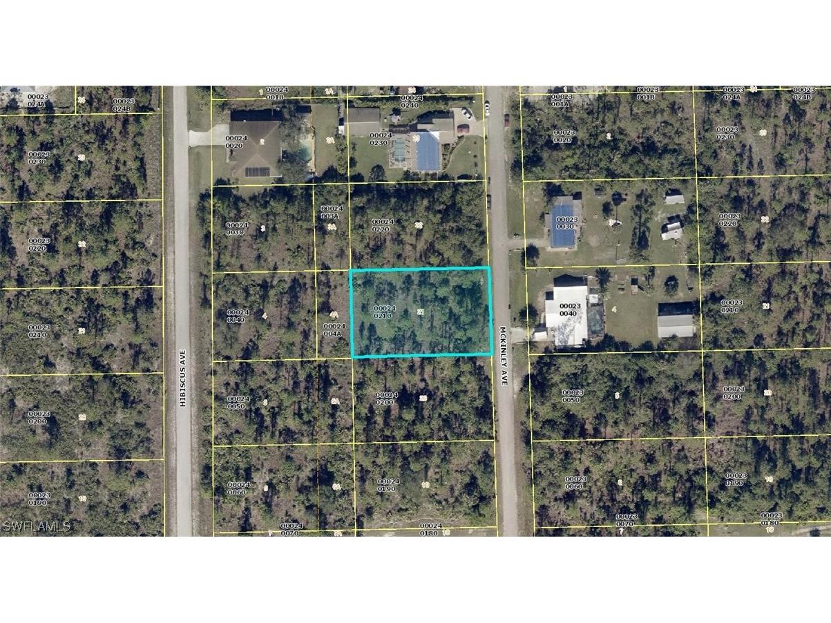 917 Mckinley Avenue Lehigh Acres FL 33972 223074552 image1